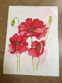 IMG_8575.JPG